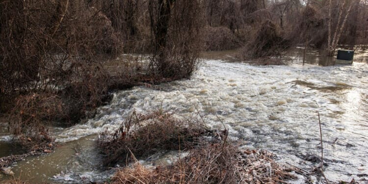 Virginia boat owner joins class-action suit against DC Water over Potomac Interceptor sewage spill