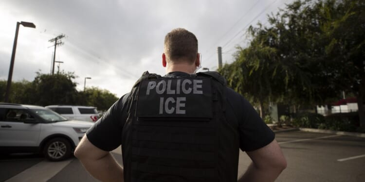 Federal officers shot illegal immigrant they say tried to run them over