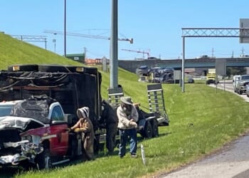 1 million bees make for bumper-to-buzzer traffic on a Tennessee highway ramp