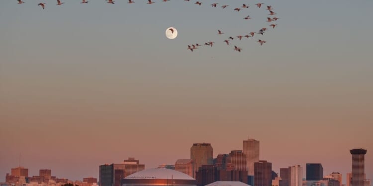 Authorities say they arrested a man planning a mass shooting at a large New Orleans festival