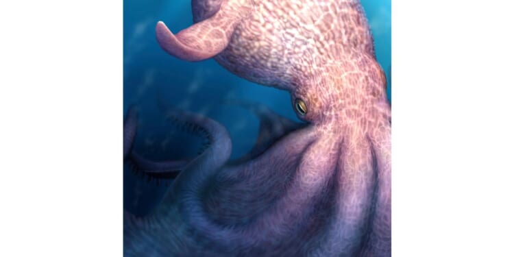 A massive kraken-like octopus may have prowled the seas during the age of dinosaurs