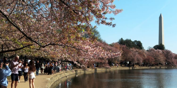 Tidal Basin fully reopens with restoration of seawalls and walkways