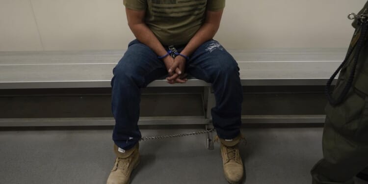 Appeals court rules against ICE’s expansive detention policy