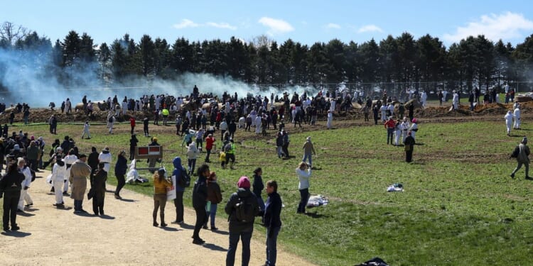 Animal rescue group says it bought 1,500 beagles from Wisconsin facility targeted by protesters