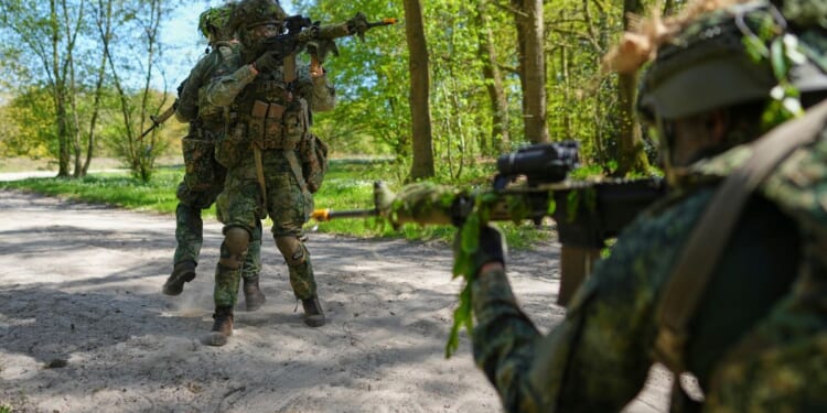 Royals boost Dutch military volunteers as Europe looks to ramp up troop numbers