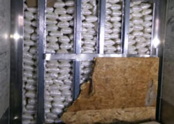 CBP Makes Massive Meth Seizure at California Border Crossing