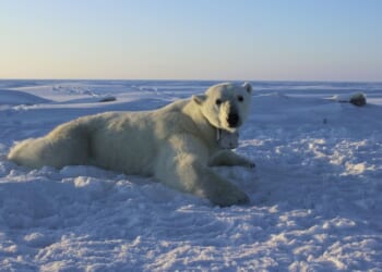 Follow the Science, Except When the IPCC’s Own Climate Data Doesn’t Cooperate – PJ Media