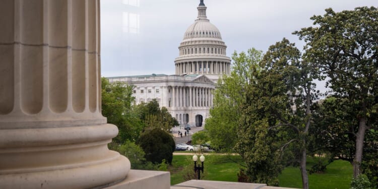 No law currently prevents Congress members from having dual citizenship