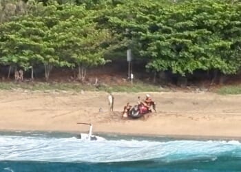 Pilot says Hawaii tour helicopter vibrated and spun before crash killed 3