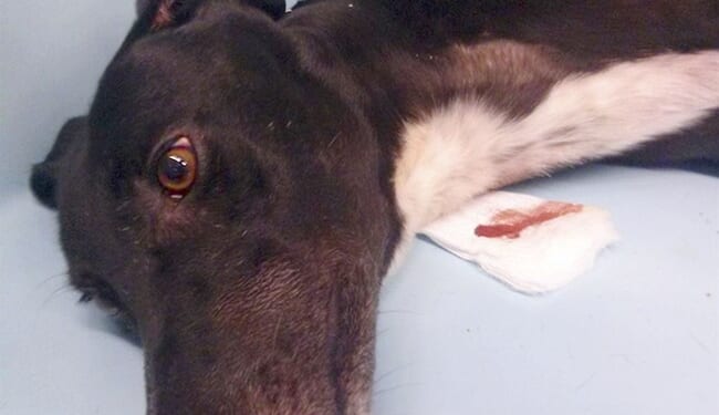 This Barbaric Abuse by 'Homeless' Druggies Is Happening on LA's Skid Row – PJ Media