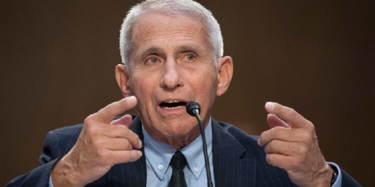 Dr. Anthony Fauci, director of the National Institute of Allergy and Infectious Diseases, is pictured during a hearing at the Capitol in September 2022.