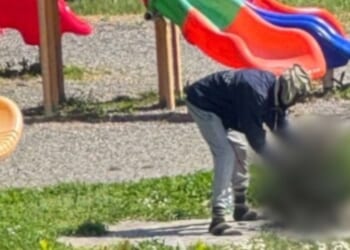 A European news outlet reported that a Nigerian immigrant killed a cat and attempted to cook it at a playground in Italy.