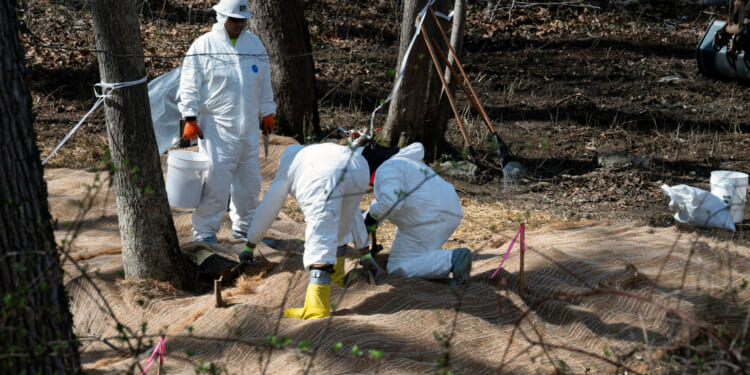Workers prepare to take soil samples where raw sewage flowed near the Potomac River in Cabin John, Maryland, on March 14, 2026.