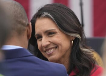 You May Not Have Noticed, But Tulsi Is Doing a Great Job – HotAir