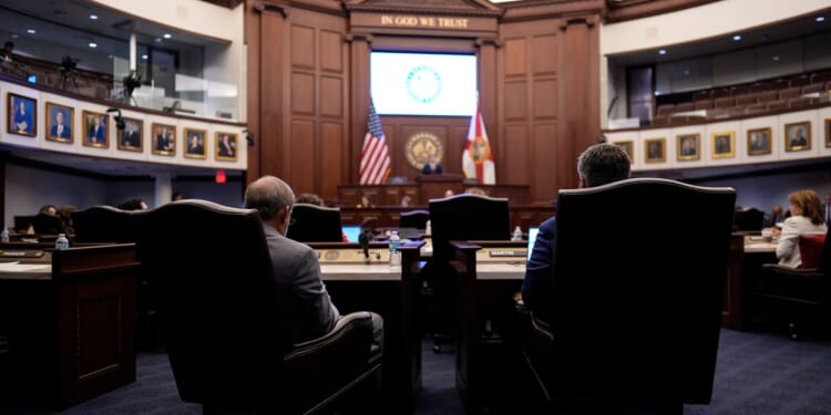 Democrats rush to court to stop GOP states’ new redistricting push
