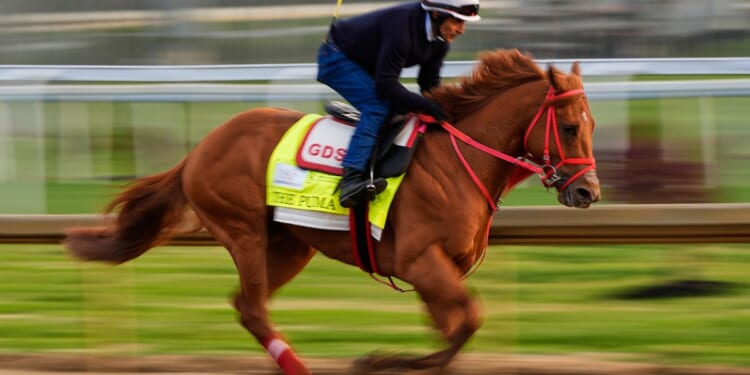 Kentucky Derby is down to 19 horses