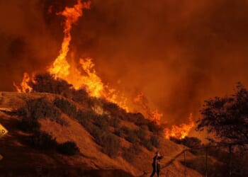 Accused L.A. fire-starter aligned himself with suspected ‘vigilante’ assassin Luigi Mangione