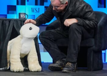 Roomba pioneer aims to crack the household market again with an AI-powered pet robot