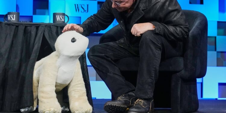 Roomba pioneer aims to crack the household market again with an AI-powered pet robot