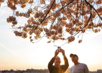 D.C. had 20,000 more tourists in 2025, generating $2.4 billion in revenue