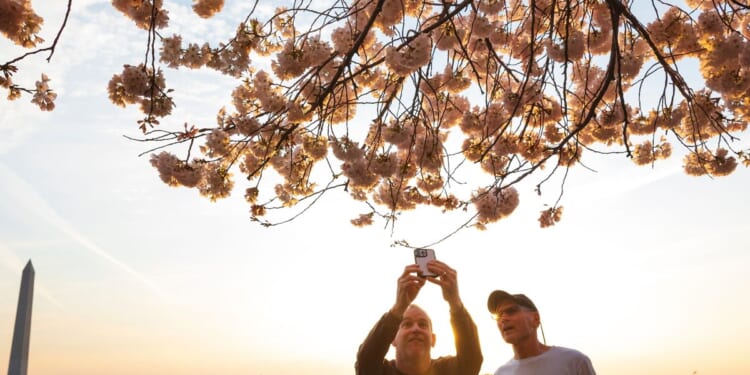 D.C. had 20,000 more tourists in 2025, generating $2.4 billion in revenue