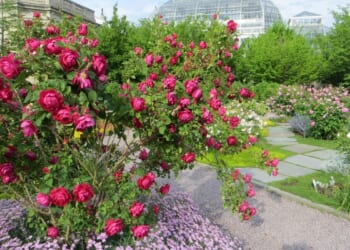 31 things to do in Washington, D.C. this weekend: May 8-10