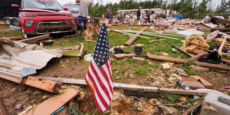 A kitten survives a tornado and his tiny meows bring rescue