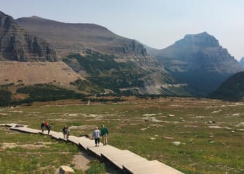 Hiker found dead in Montana’s Glacier National Park from suspected bear attack