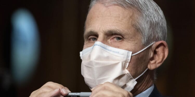 Fauci steered CIA away from lab-leak experts, analysts punished for findings