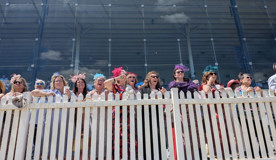 Thoroughbred colts compete in high-stakes races on Friday, March 15 during Black-Eyed Susan Day, the preliminary to Saturday's Preakness Stakes. This year's race was moved to Laurel, Maryland, due to renovations at Pimlico Race Course. (Sean Salai/The Washington Times)