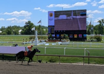 Hit Zero dies after collapsing at Laurel Park on Black-Eyed Susan Day