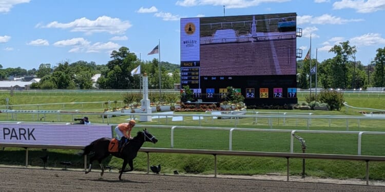 Hit Zero dies after collapsing at Laurel Park on Black-Eyed Susan Day