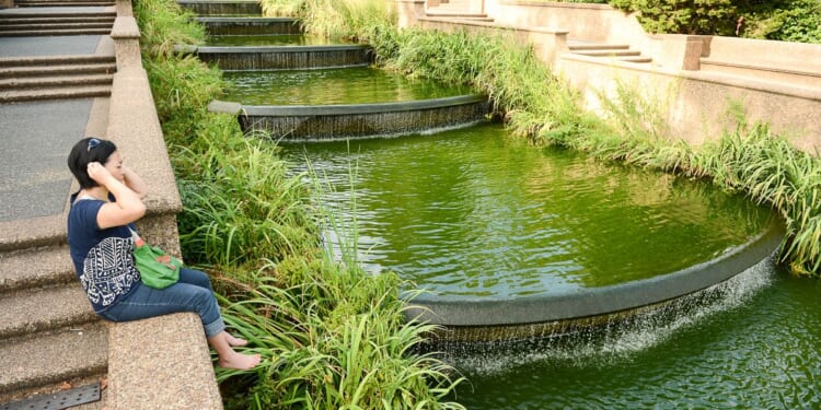 Fountain flows again at D.C.’s Meridian Hill Park after idling for 7 years