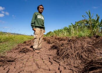 Hawaii’s worst flooding in 20 years leaves farmers struggling and fewer veggies at the market