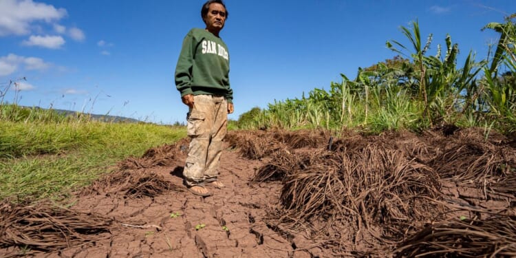 Hawaii’s worst flooding in 20 years leaves farmers struggling and fewer veggies at the market