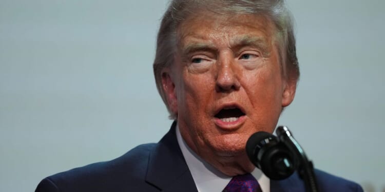 DOJ gives Trump free pass on tax audits