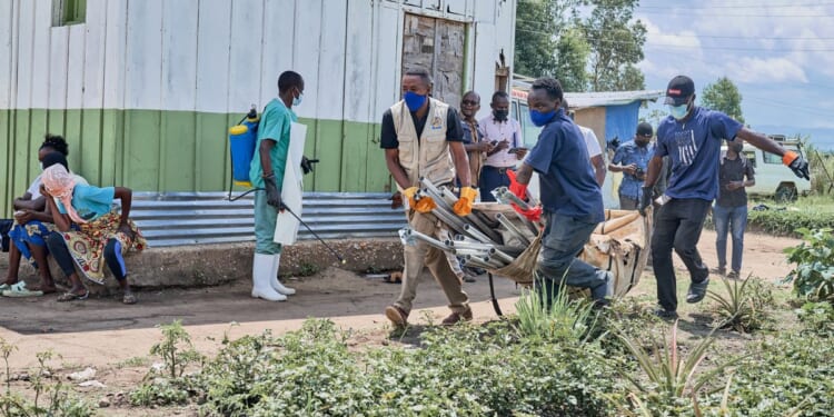 What to know about the Bundibugyo virus, a species of Ebola causing an outbreak in Congo