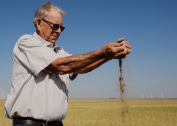 Kansas farmers hit hard by weather extremes and growing costs, wheat crop could be worst since 1972