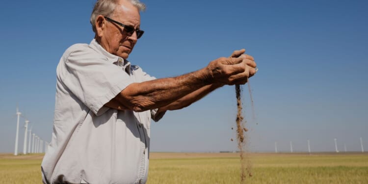 Kansas farmers hit hard by weather extremes and growing costs, wheat crop could be worst since 1972