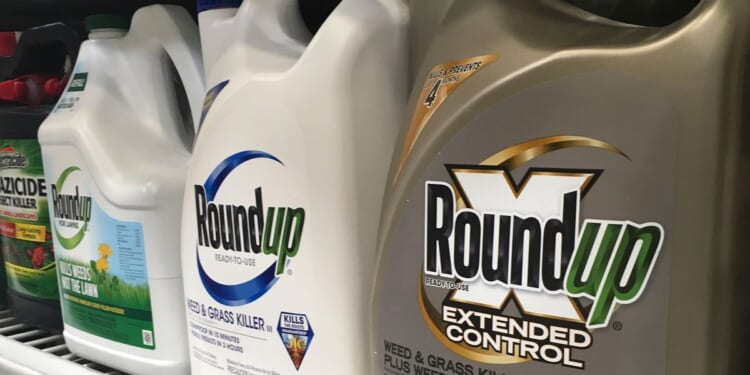Legal fight could delay a proposed $7B settlement for lawsuits in Roundup cancer claims