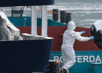 How South African scientists identified hantavirus on a cruise ship thousands of miles away