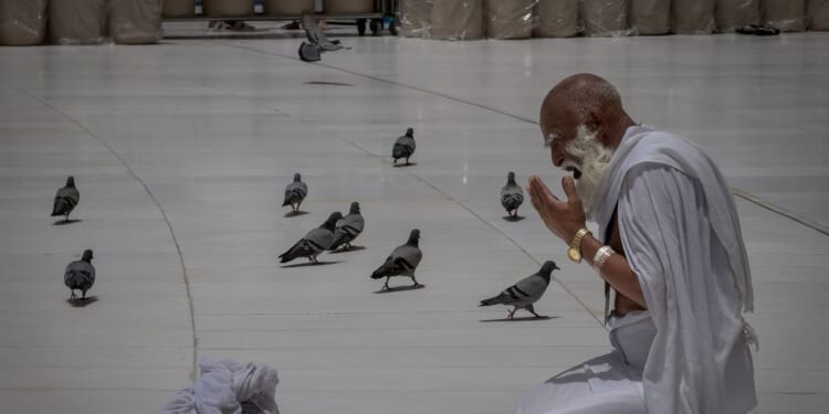 Muslims begin the annual Hajj in sweltering heat against a backdrop of war concerns