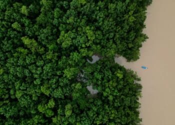 Brazilian government commits $617.5M to Amazon ecological investment