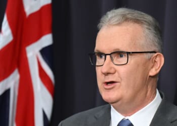 Planes carrying 19 Australians linked to the Islamic State group land in Melbourne and Sydney
