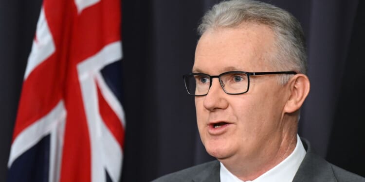 Planes carrying 19 Australians linked to the Islamic State group land in Melbourne and Sydney