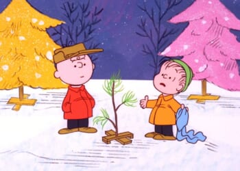 ‘Peanuts’ music rights holder files copyright infringement lawsuits against government, companies
