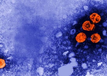 Experimental hepatitis B drug may offer ‘functional cure’ for some patients