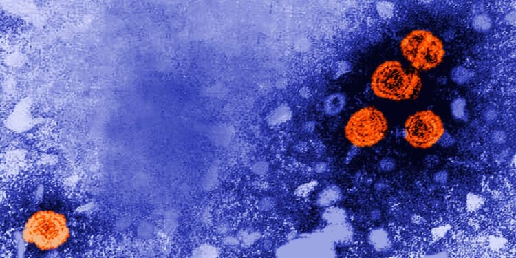 Experimental hepatitis B drug may offer ‘functional cure’ for some patients