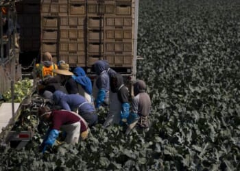 California Gives Illegal Aliens ‘Free’ Fridges, Solar Panels – PJ Media
