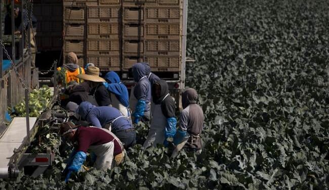 California Gives Illegal Aliens ‘Free’ Fridges, Solar Panels – PJ Media